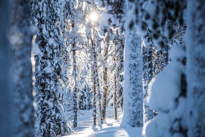 Backcountry skiing adventure - Price and Value: Is $138.16 Worth It?