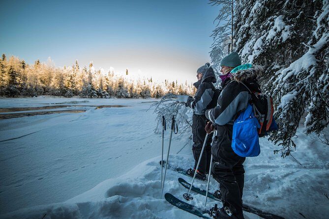 Backcountry skiing adventure - The Skiing Part: From Cross-Country Motion to Backcountry Access