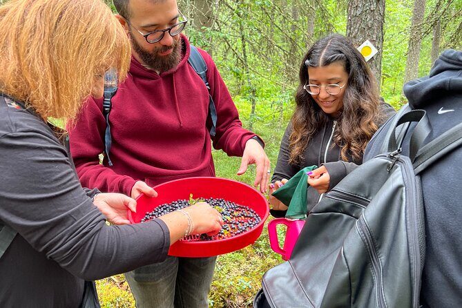 Berry Picking in a National Park - Walking the forest loop: timing, distance, and when it feels like real outdoors