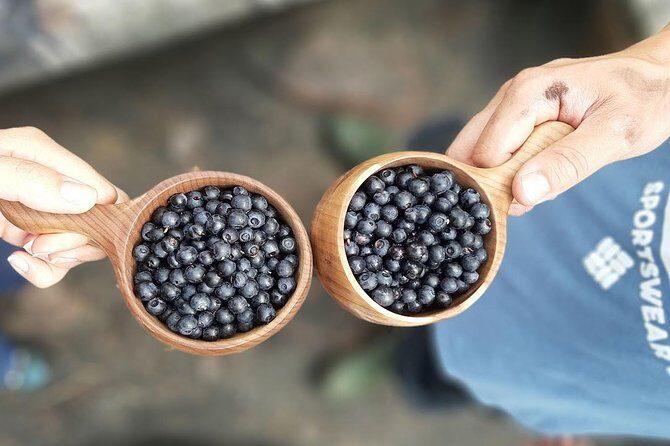 Berry Picking in a National Park - Lakeside campfire lunch: why it’s more than a meal break