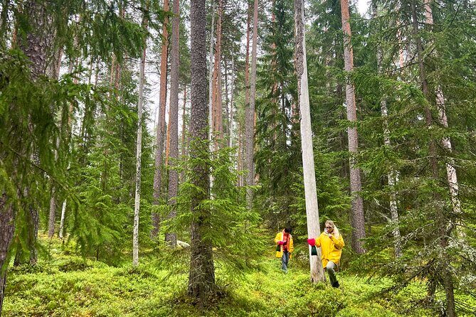 Berry Picking in a National Park - Group size and guide styles (Helena and Jeff): how you get better answers