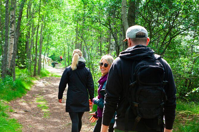 Berry Picking in a National Park - What’s included (and what you must bring) for a smooth day