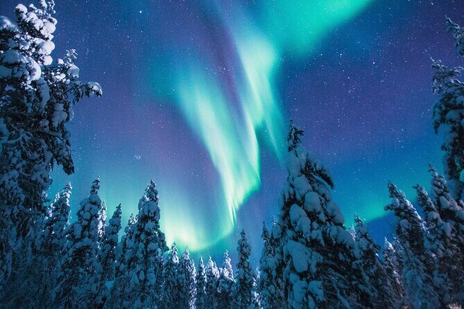 Bus Tour with Hunting Northern Lights - Price and Logistics: What $106.94 Actually Covers