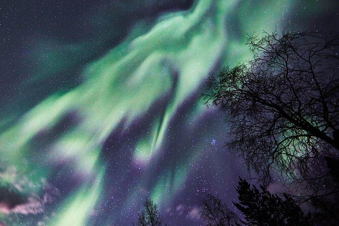Capturing Auroras in Pyhä - If there are no auroras: stars and light painting with headlamps