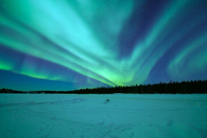 Chasing Aurora with Photographer - Small Group - The open-fire Lappish sausage and hot drinks reset