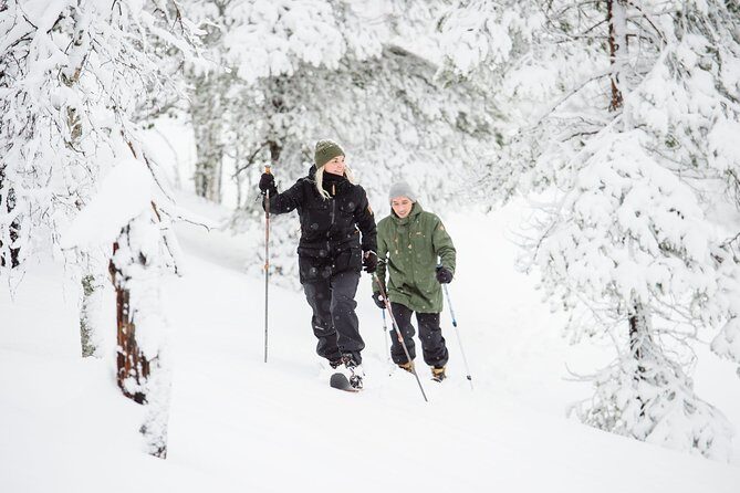 Classic Wilderness Skiing in the Pyhä-Luosto National Park - The flow of the outing: Pyhatunturi to Pyhä-Luosto National Park