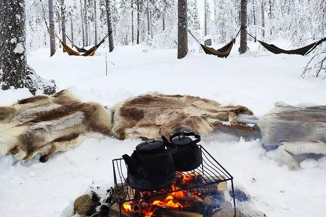 Cocooning in the HaliPuu forest: The ultimate Arctic hammock relaxation - Why This Lapland Hammock Ritual Feels Different