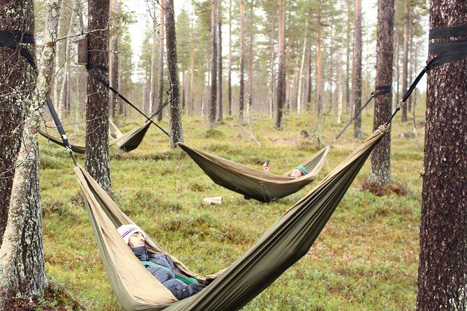 Cocooning in the HaliPuu forest: The ultimate Arctic hammock relaxation - Price and Value: Is $124.66 Worth It?