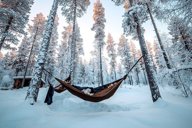 Cocooning in the HaliPuu forest: The ultimate Arctic hammock relaxation - Guided Calming Exercises: Getting Out of Your Head