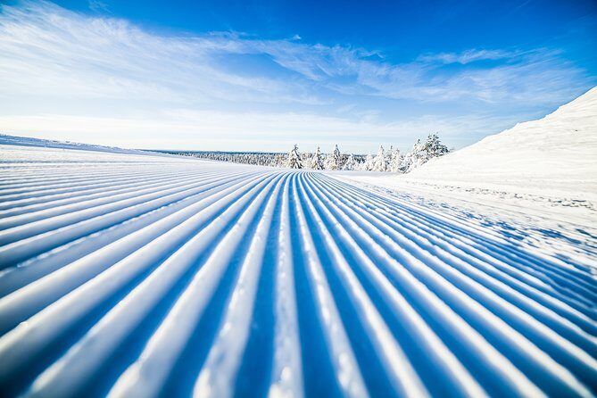 Cross-Country Skiing Trip - Rovaniemi cross-country skiing: easy, coached, and actually fun