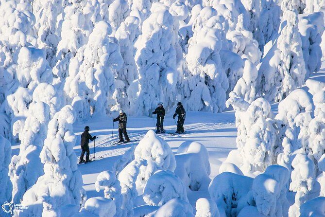Cross-Country Skiing Trip - Who this tour suits best (and who might prefer a different plan)