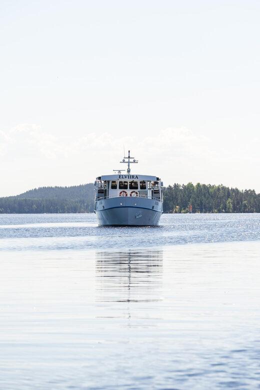Cruise around Savonlinna archipelago - Refreshments on m/s Elviira: café/bar options that fit the time