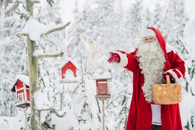 Daytour to Santa Claus Village, Reindeer and Husky Safaris, Photo, and Lunch - Lunch inside Santa Claus Village: included, but watch for quality