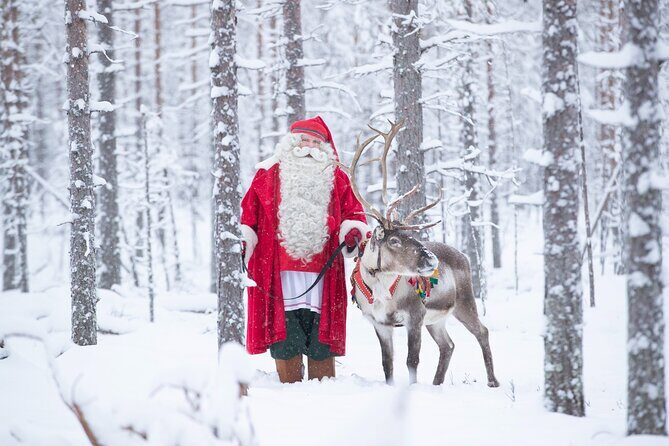 Daytour to Santa Claus Village, Reindeer and Husky Safaris, Photo, and Lunch - Pickup, timing, and how the day flows in a crowd