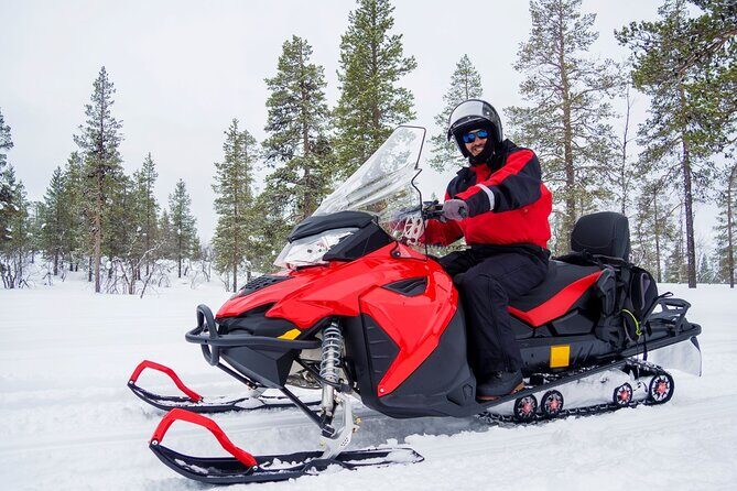 Easy Snowmobile Safari - Key highlights you will feel right away