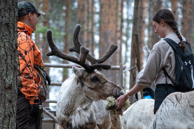 Electric Fatbike Trip to the Reindeer Farm - Starting from Nordic Odyssey at 8:30: Easy to Find, Built for Getting Out Fast