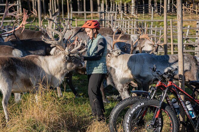 Electric Fatbike Trip to the Reindeer Farm - Price and Value: What You’re Really Paying For at $177.44