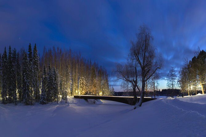 Entry to the amazing Serlachius Museums in the Tampere region - Key highlights before you go