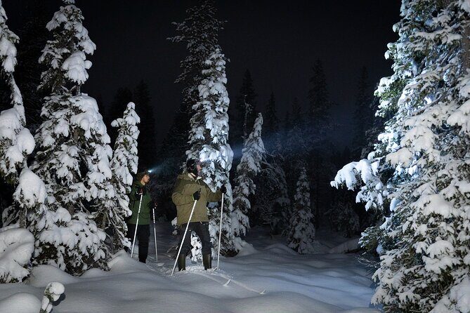 Evening Ski Trek to the Wilderness - Extra Small group - Key highlights I’d plan around