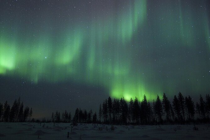 Evening Ski Trek to the Wilderness - Extra Small group - Stop 1: Perunkajärvi and the real night-ski experience