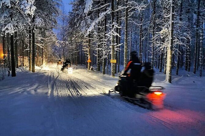 Evening Snowmobile Safari in Rovaniemi - Shared snowmobiles, who drives, and the licensing rule you must not ignore