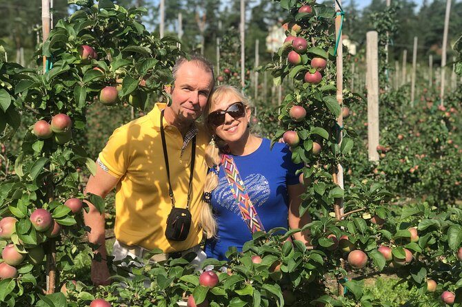 Experience the Best of Åland with a Private Guided Tour - Why a private Åland drive is worth paying for