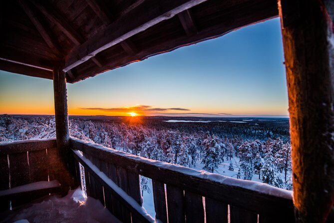 Explore the Wilderness - Key Things You’ll Notice on This Rovaniemi Wilderness Photo Hike