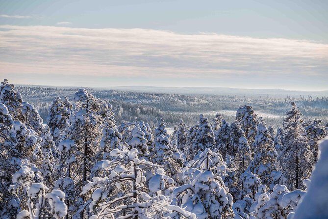 Explore the Wilderness - Edited Photos After the Tour: Instant Polish for Your Winter Shots