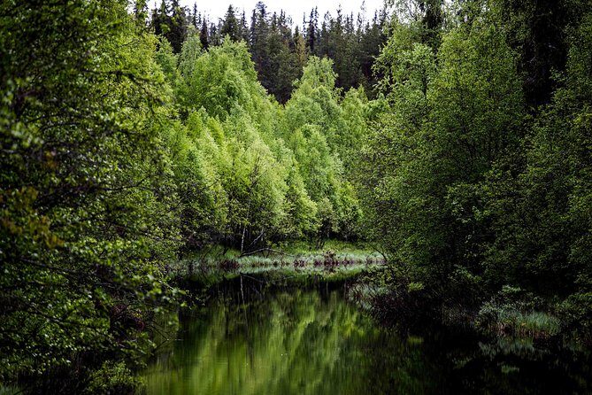 Explore the Wilderness (Summer & Autumn) - Quick reasons to choose Explore the Wilderness