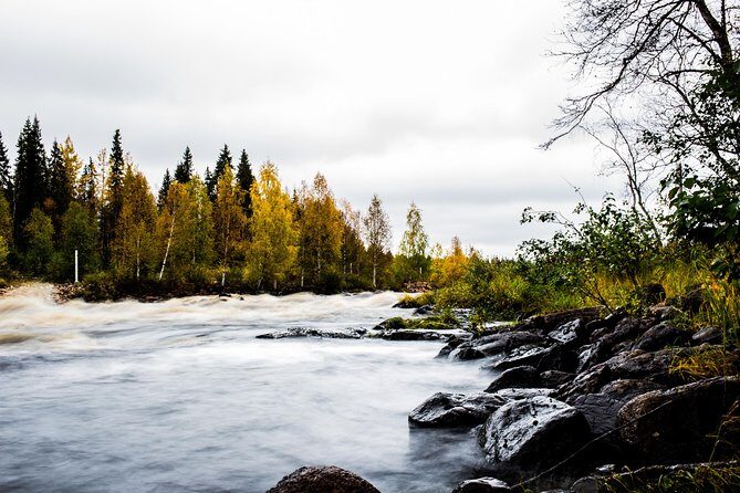 Explore the Wilderness (Summer & Autumn) - The Rovaniemi Office Start: Easy Setup Before You Go Remote