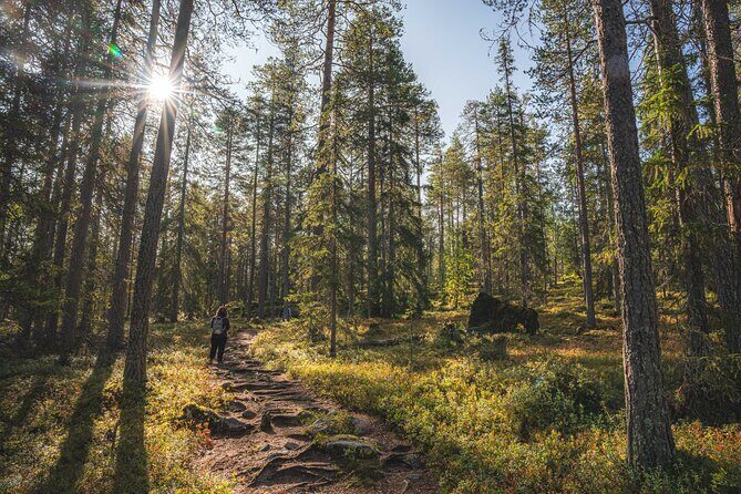 Explore the Wilderness (Summer & Autumn) - Summer and Autumn Timing: Pick the Season for the Kind of Pictures You Want