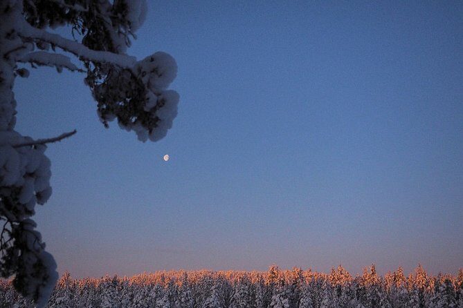 Explore Winter Woods: Snowshoe walk with local Biologist - Terhi and Arto: a nature lesson that feels like winter friendship