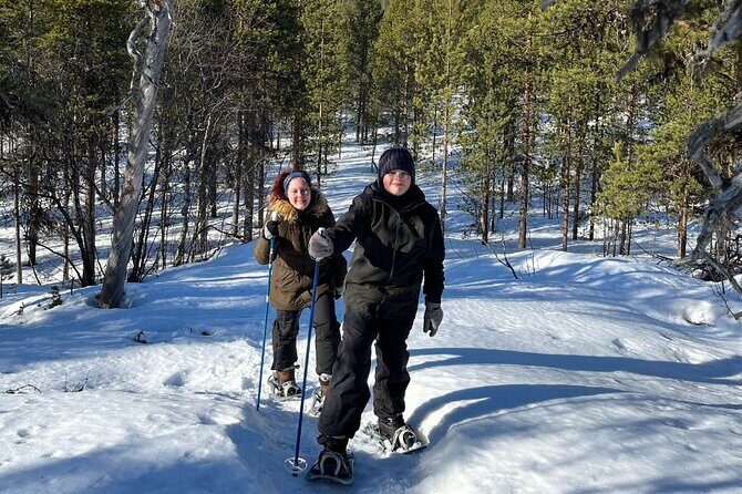 Explore Winter Woods: Snowshoe walk with local Biologist - Possible wildlife moments: elk, mountain hare, and track-reading confidence