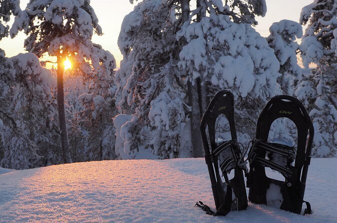 Explore Winter Woods: Snowshoe walk with local Biologist - Why this tour feels worth it (even if wildlife stays quiet)