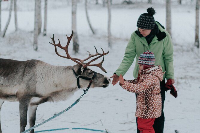 Family day: Reindeer, Husky and Snowmobiling in Levi - Quick takeaways before you go