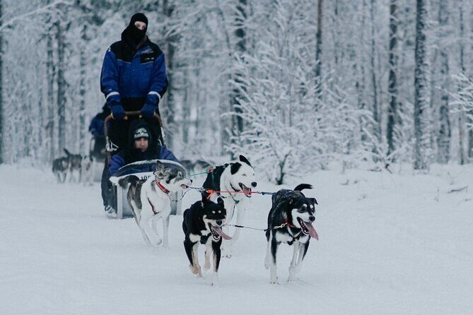 Family day: Reindeer, Husky and Snowmobiling in Levi - Soup lunch in a Kota-style cabin: a real warm reset