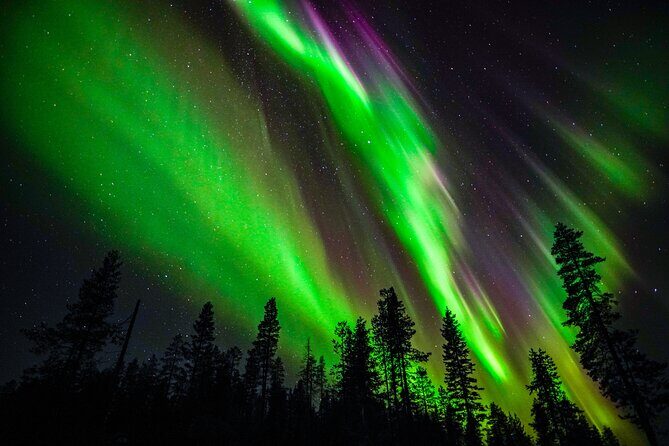 Family-Friendly: Northern Lights Adventure from Rovaniemi - Key Highlights Worth Booking