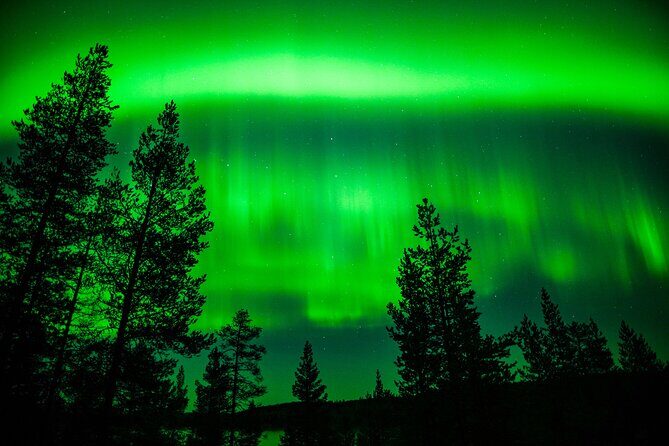 Family-Friendly: Northern Lights Adventure from Rovaniemi - Weather, Chances, and a Sensible Backup Plan
