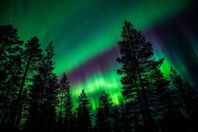 Family-Friendly: Northern Lights Adventure from Rovaniemi - Who This Northern Lights Adventure Fits Best