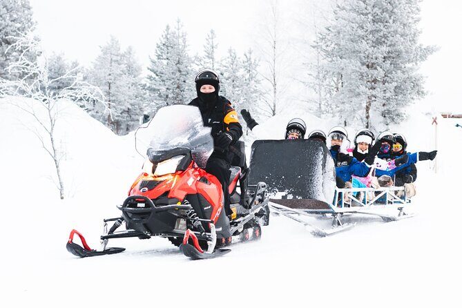 Family Snowmobile Safari from Santa Claus Village - Campfire Picnic: Sausages, Marshmallows, and Berry Juice