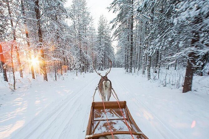 Forest Trail Reindeer Safari - Winter Gear, Snacks, and Hot Drinks: Comfort Is Part of the Value