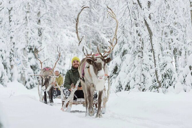 Forest Trail Reindeer Safari - Nordic Unique Travels: the Arctic Lifestyle Start Point