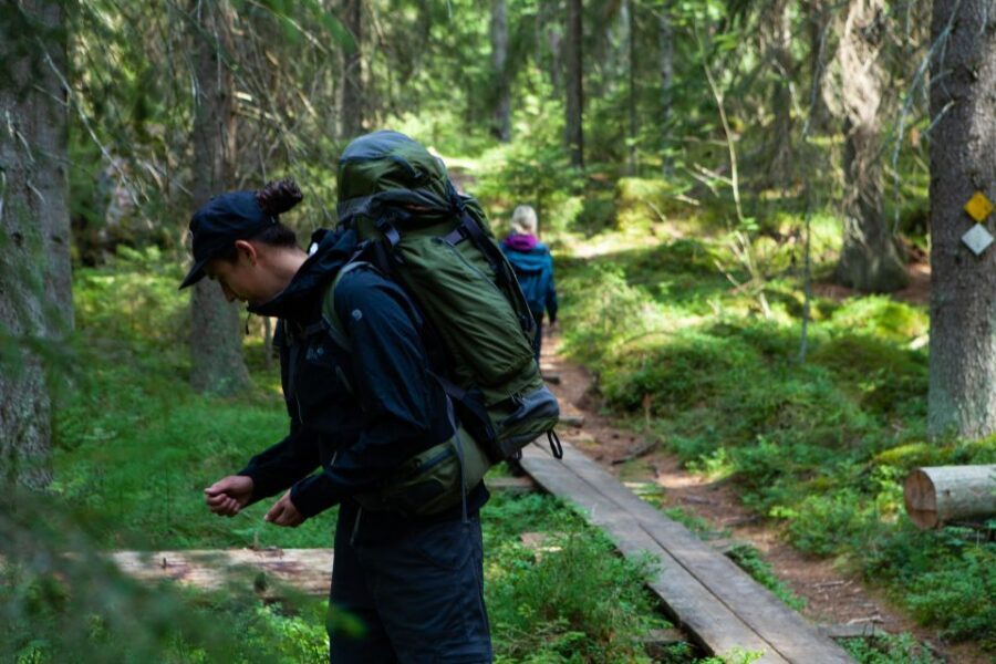 From Helsinki: Mushroom Hunting Tour in a National Park - Why Liesjärvi National Park fits a chanterelle hunt