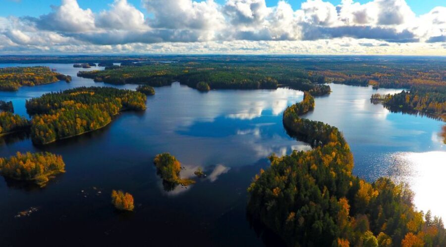 From Helsinki: Mushroom Hunting Tour in a National Park - Turning finds into a Finnish-style lunch by the campfire