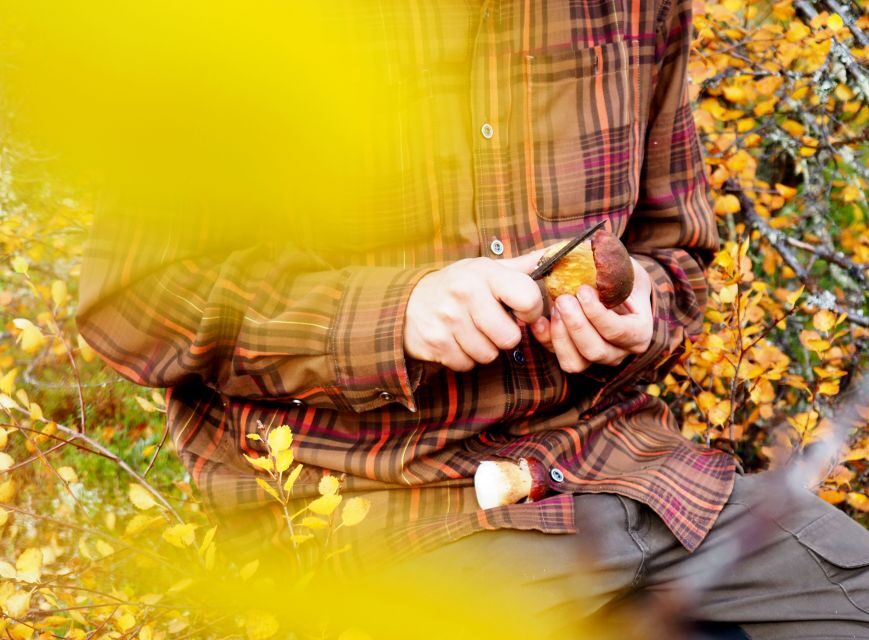 From Helsinki: Mushroom Hunting Tour in a National Park - After lunch: more park time before the return to Helsinki