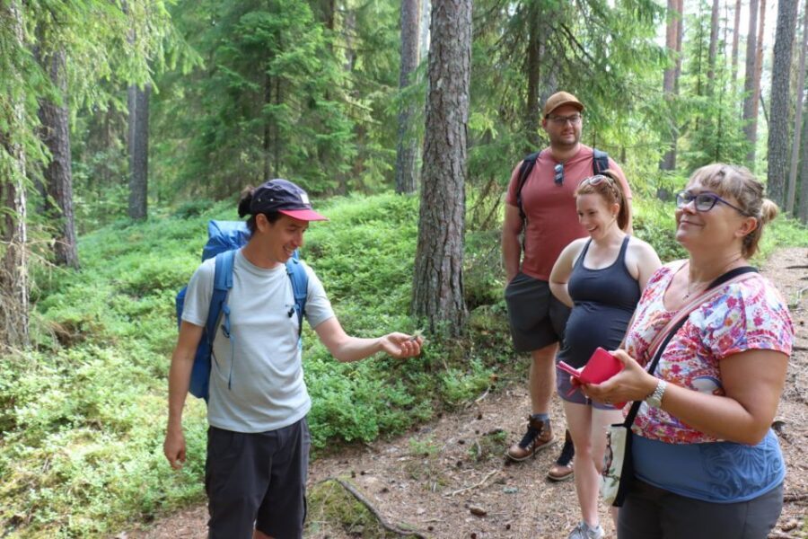 From Helsinki: Mushroom Hunting Tour in a National Park - Price check: is $182 good value for a 7-hour foraging lesson?