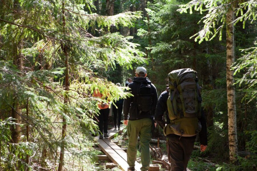 From Helsinki: Mushroom Hunting Tour in a National Park - Pickup in central Helsinki and why the group stays small