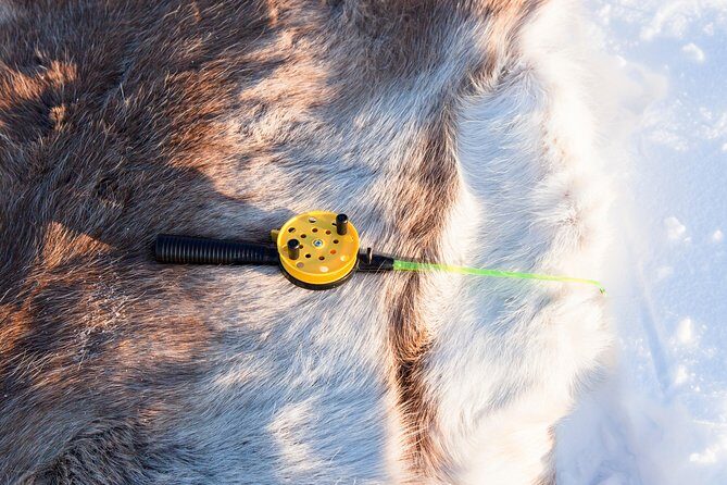 From Ivalo: Ice Fishing Safari to Lake Inari, reindeers & lunch - Price and value: what $186 really buys you