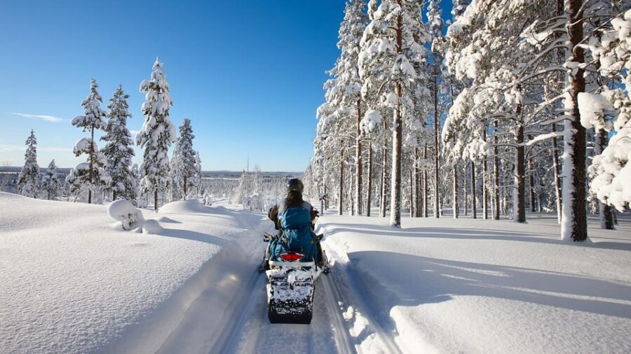 From Rovaniemi: 2-Hour Snowmobile Safari - Key things that make this safari work