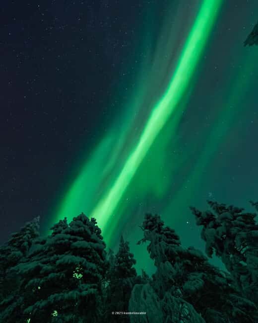 From Rovaniemi: Aurora Borealis Hunting with Photos & Videos - Stop 3: back to Rovaniemi when the hunt wraps up